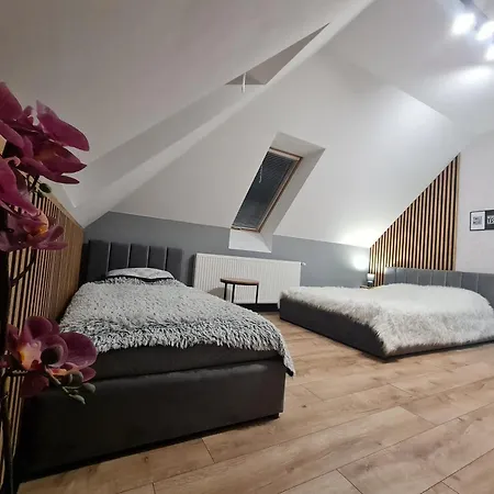 Villa Sloneczna Sudety - Dom Na Wylacznosc Bystrzyca Kłodzka