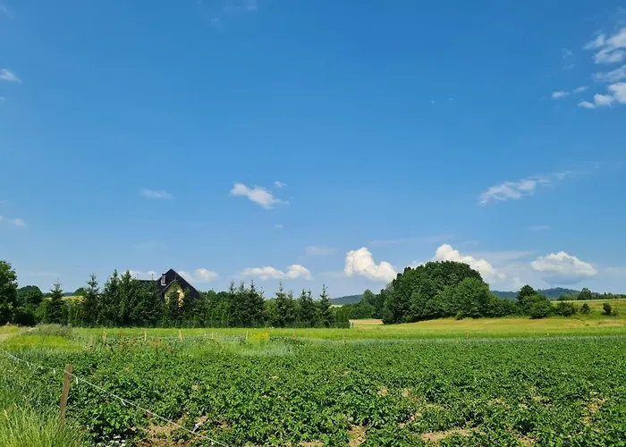 Sloneczna Sudety - Dom Na Wylacznosc Bystrzyca Kłodzka