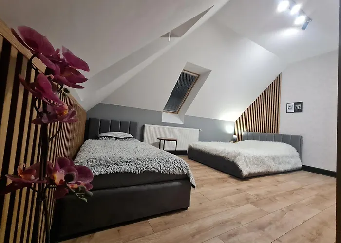 Villa Sloneczna Sudety - Dom Na Wylacznosc Bystrzyca Kłodzka